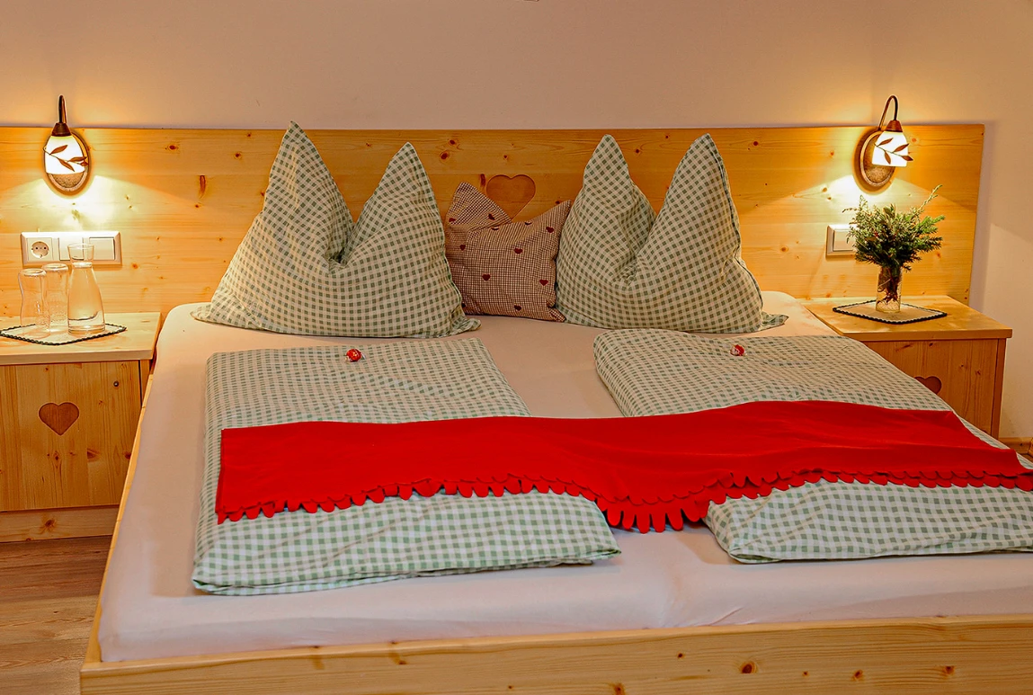 zimmer-aineckblick-branntweineralm3